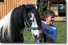Ontario Breeders Production Sale's Barb Bowen with her American Sport Pony 'Private Eye'